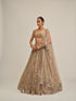 Light Beige Big Mirror Cutwork Lehenga Set