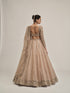 Light Beige Sequins Embroidered Full Sleeves Lehenga Set