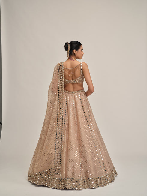 Light Beige Sequins Embroidered Lehenga Set