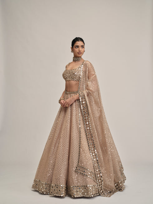 Light Beige Sequins Embroidered Lehenga Set