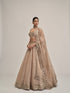 Light Beige Sequins Embroidered Lehenga Set