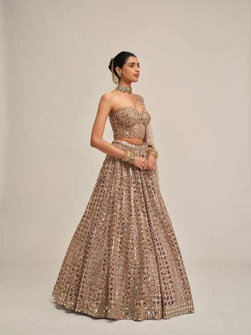 Ash Pink Circular Cutwork Lehenga With Corset Set