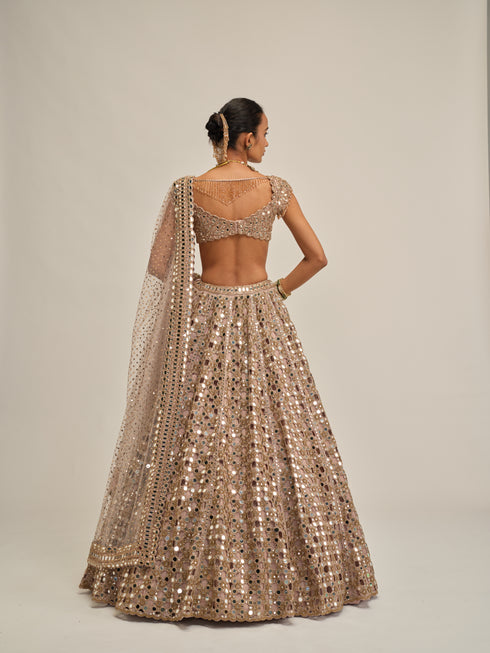 Ash Pink Dense Big Mirror Cutwork Lehenga Set