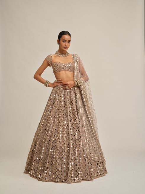 Ash Pink Dense Big Mirror Cutwork Lehenga Set