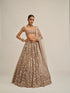 Ash Pink Dense Big Mirror Cutwork Lehenga Set