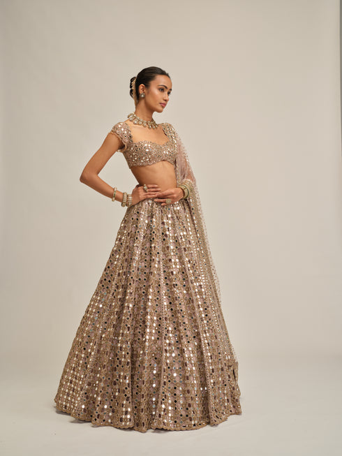 Ash Pink Dense Big Mirror Cutwork Lehenga Set