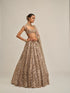 Ash Pink Dense Big Mirror Cutwork Lehenga Set