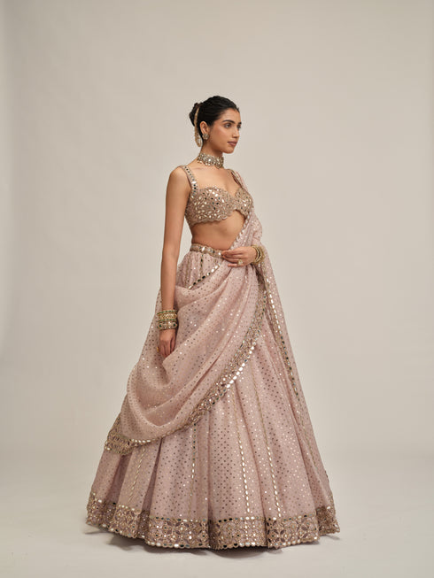 Ash Pink Linear Mirror Sequins Embroidered Lehenga Set