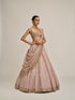 Ash Pink Mirror Linear Embroidered Lehenga Set