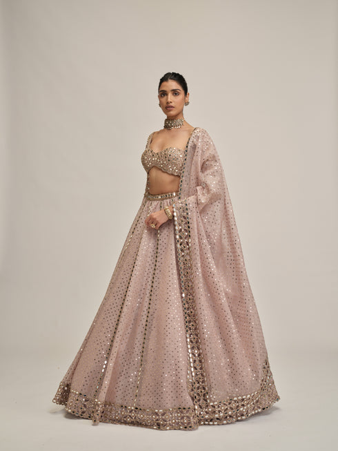 Ash Pink Cutwork Sleeve Lehenga Set