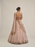 Ash Pink Full Sleeve Lehenga Set