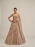 Ash Pink Mirror Embroidered Lehenga Set