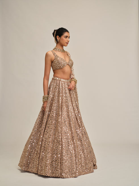 Ash Pink Mirror Embroidered Lehenga Set
