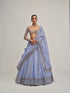 Dew Blue Cutwork Sleeve Lehenga Set