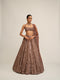 Deep Beige Mirror Embroidered Lehenga Set