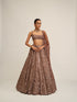 Deep Beige Mirror Embroidered Lehenga Set