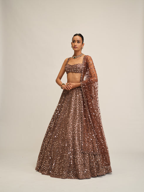 Deep Beige Mirror Embroidered Lehenga Set