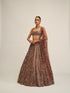 Deep Beige Mirror Embroidered Lehenga Set