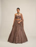 Deep Beige Flower Cutwork Lehenga Set