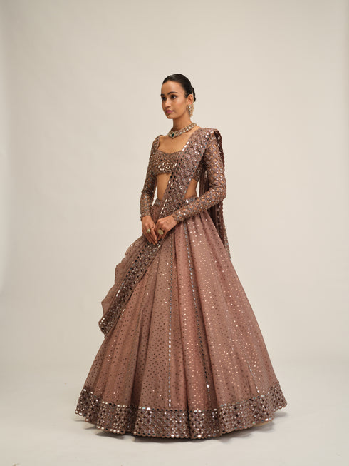 Deep Beige Sequins Embroidered Lehenga Set