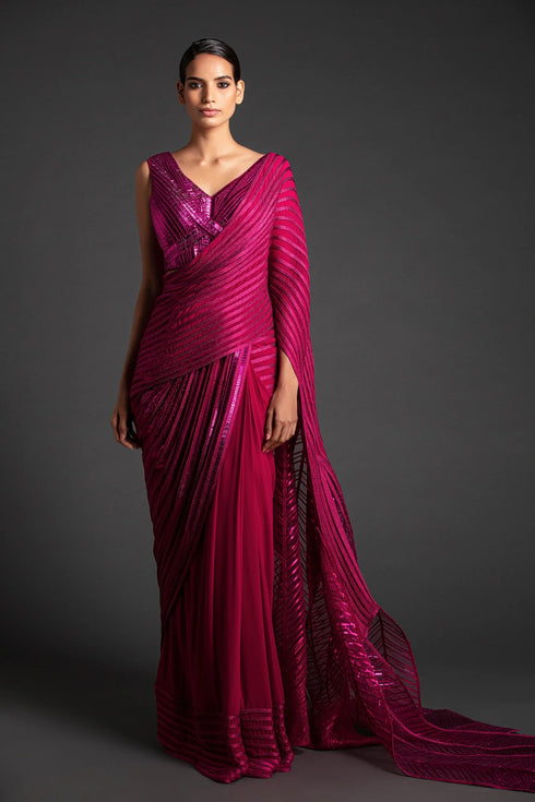 Metallic Winged Saree