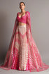 Plisse Flowy Lehenga