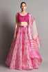 Metallic Structured Lehenga