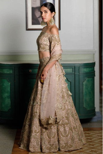 Aida Blush Embroidered Choli And Lehenga With Embroidered Dupatta