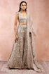 Grey Bagh Embroidered Choli With Sharara And Dupatta