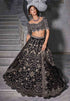 Black Embroidered Lehenga Set