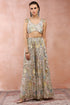 Off White Applique Embroidered Choli With Sharara