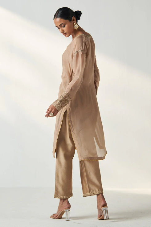 Pakhi Fawn Sheer Kurta Pant Set