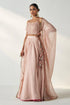 Rajita Blush Pink Lehenga Set