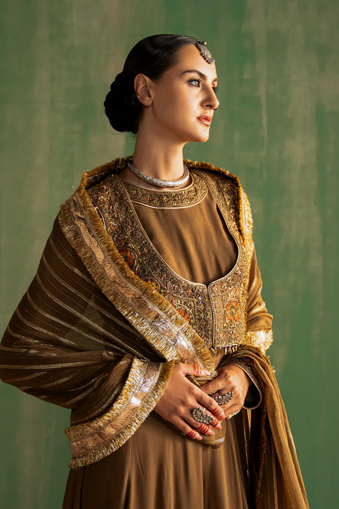 Bhavna Brown Anarkali Set