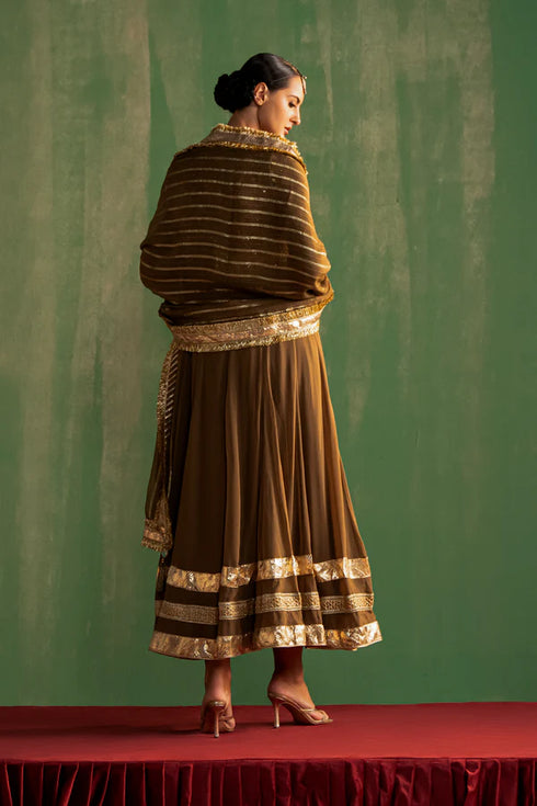 Bhavna Brown Anarkali Set