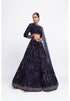 Navy blue dense dot lehenga set
