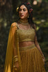 Ochre Yellow Flame Print 3- Layered Lehenga