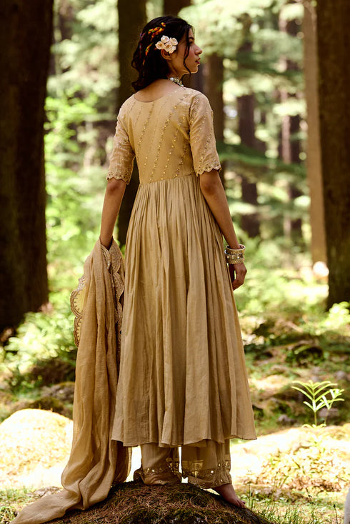 Beige Anarkali