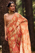 Sherbet Orange Saree
