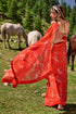 Poppy Red Hand Highlighted Saree