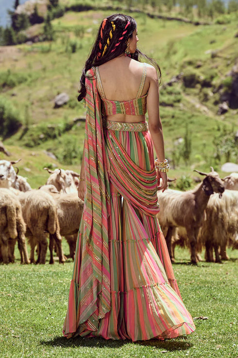 Multi Colored Stripes Sharara Saree