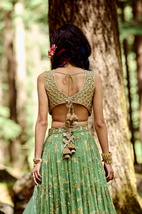 Fern Green Bagh Print Lehenga Set