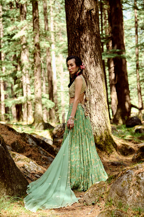 Fern Green Bagh Print Lehenga Set