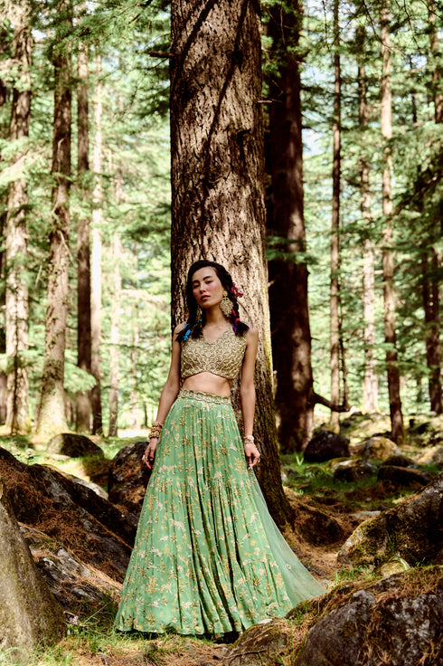 Fern Green Bagh Print Lehenga Set