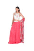 Multicolour wallpaper handpainted Blouse, Organza skirt and Net Dupatta