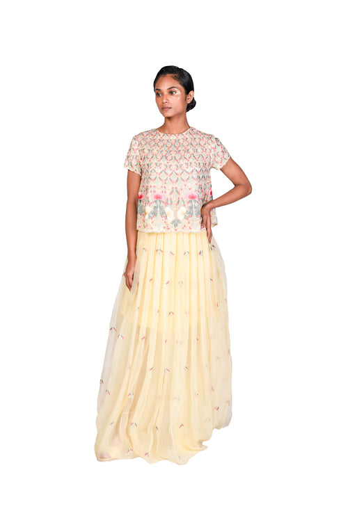 Multi-colour EMB Crop-Top with Pleated Skirt