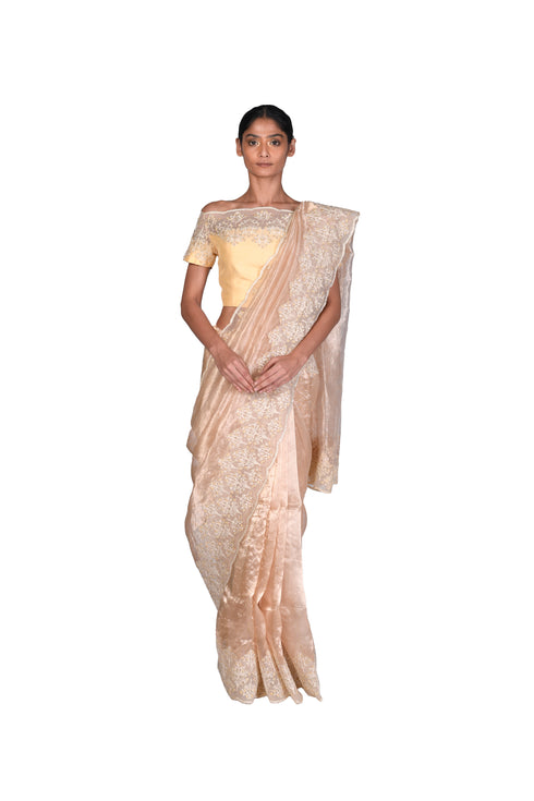 Golden Tissue Saree with EMB Blouse piece