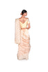 Golden Tissue Saree with EMB Blouse piece