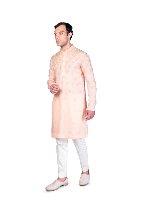 Applique EMB Kurta with churidar