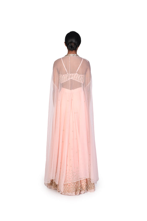 Peach and Pink Bustier and Skirt with Organza Throw